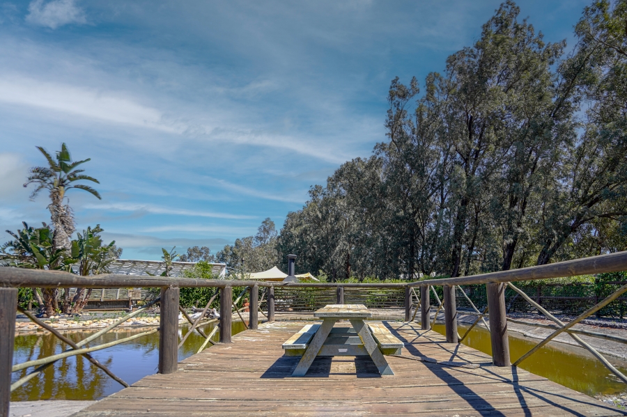 Commercial Property for Sale in Cape Farms Western Cape